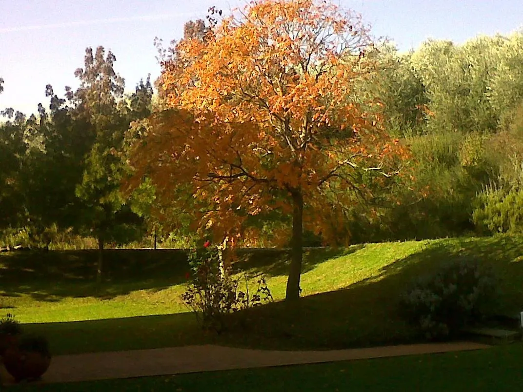 Il Cigliere Your Holiday Home In The Heart Of Tuscany Florens 0*,