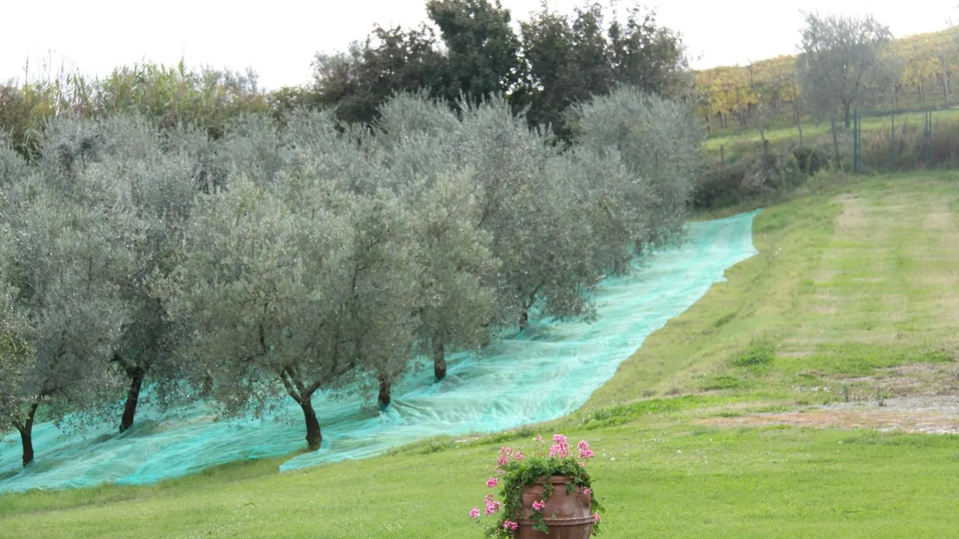Il Cigliere Your Holiday Home In The Heart Of Tuscany Florens