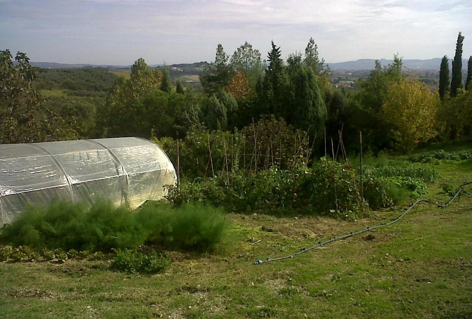 Il Cigliere Your Holiday Home In The Heart Of Tuscany フィレンツェ