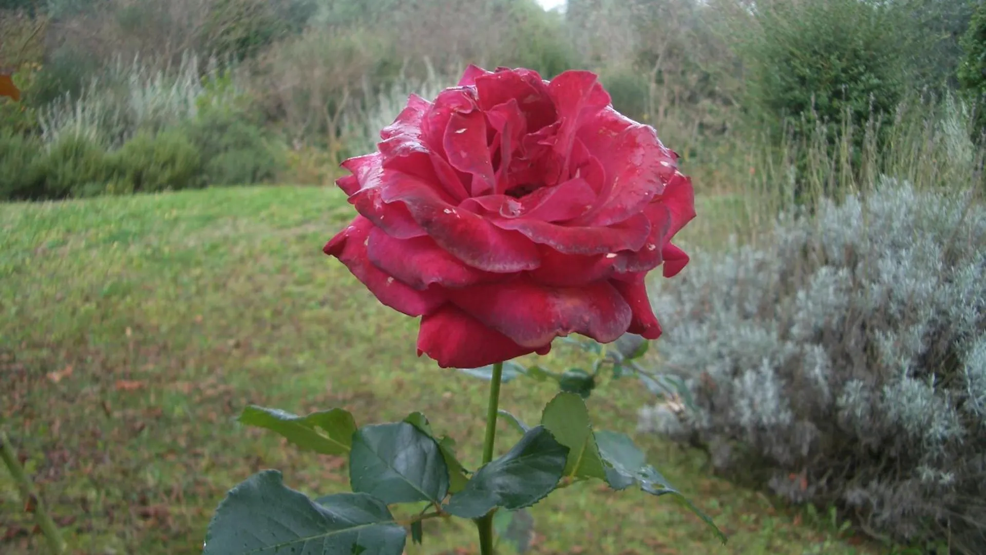 Il Cigliere Your Holiday Home In The Heart Of Tuscany Florens